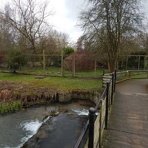 View towards Southern cassowary exhibit 010323