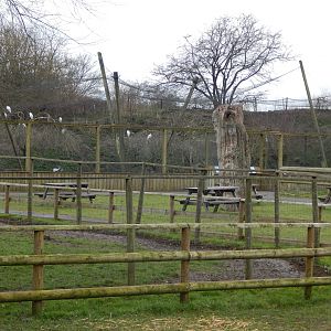 View towards Large wading bird aviary 010323