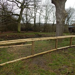 European white stork exhibit 010323