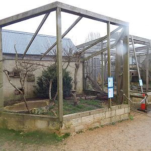 Out of Africa - Aviary for Lilac-breasted roller and Bernier's teal 010323