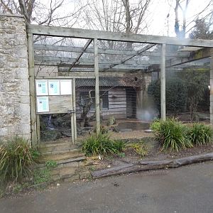 Out of Africa - Mixed aviary 010323