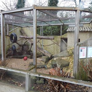 Kea aviary 010323