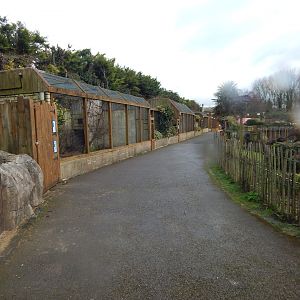 View towards mixed aviaries 010323