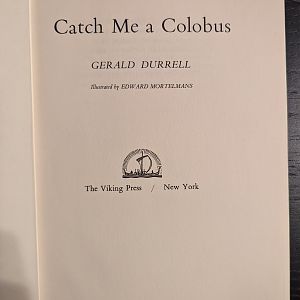 Catch Me a Colobus