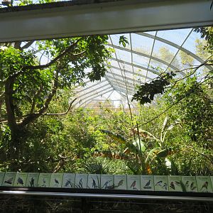 Scripps Aviary - Canopy View
