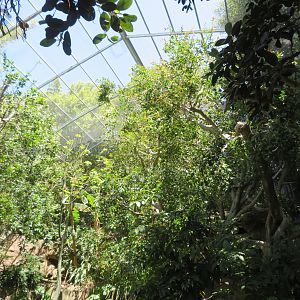 Inside Scripps Aviary