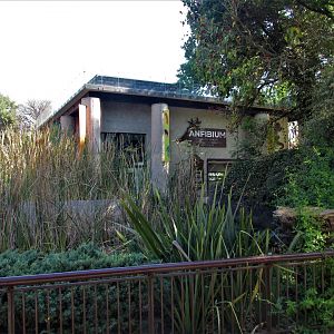 New amphibian and wetlands exhibit