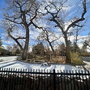 Summer Season Primate Exhibit?