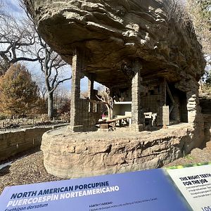North American Porcupine Exhibit