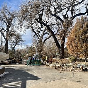 Working on the Holiday Lights