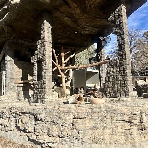 North American Porcupine Exhibit