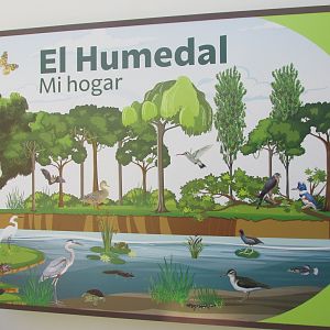 Central Mexican Wetland mural