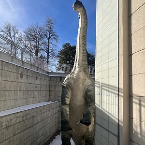 Dinosaur Replica