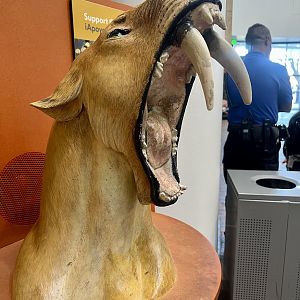 Saber-toothed Cat waste bin