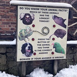 Interactive Signage at Tropical Butterfly House (March 2023)