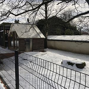 Sulcata Tortoise Enclosure at Tropical Butterfly House (March 2023)