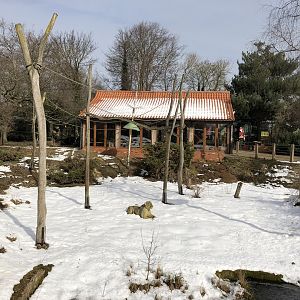 Lemur Enclosure at Tropical Butterfly House (March 2023)