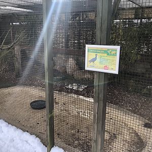 Mixed Aviary at Tropical Butterfly House (March 2023)
