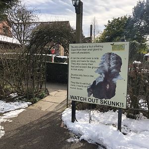 Skunk Interactive Signage at Tropical Butterfly House (March 2023)