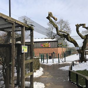 Little Owl Aviary & Transfer Tunnel at Tropical Butterfly House (March 2023)