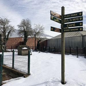 New Butterfly House at Tropical Butterfly House (March 2023)