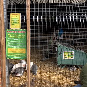 Farm Barn Signage at Tropical Butterfly House (March 2023)