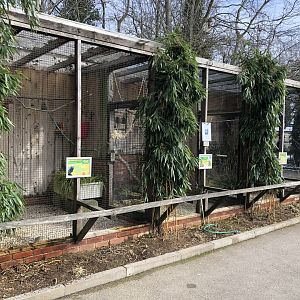 Parrot Aviaries at Tropical Butterfly House (March 2023)