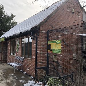 Lemur House at Tropical Butterfly House (March 2023)