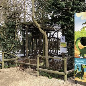 Red Squirrel Enclosure at Tropical Butterfly House (March 2023)