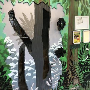 Grey Mouse Lemur Enclosure at Tropical Butterfly House (March 2023)