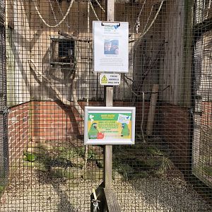 Hahn's Macaw Aviary at Tropical Butterfly House (March 2023)