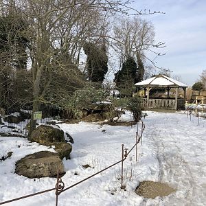 Wallaby/Agouti Enclosure in the Snow at Tropical Butterfly House (March 2023)