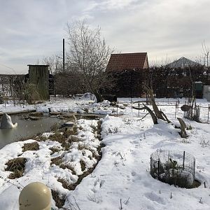 Wallaby/Agouti Enclosure in the Snow at Tropical Butterfly House (March 2023)