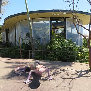 Hummingbird Habitat (Exterior)