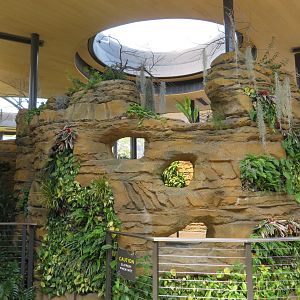 Hummingbird Habitat (Interior)