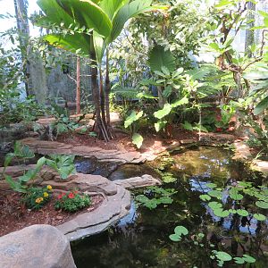 Hummingbird Habitat (Interior)