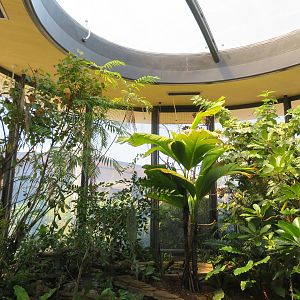 Hummingbird Habitat (Interior)