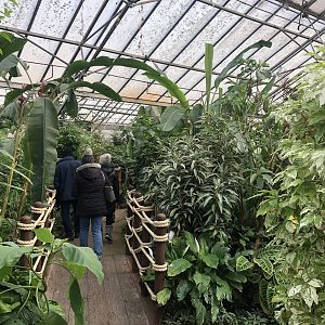 Inside the Butterfly House at Tropical Butterfly House (March 2023)