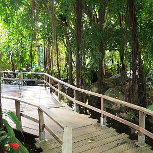 Tropical hall - Second walk-through section - Pantanal/South American section, 2022-08-28