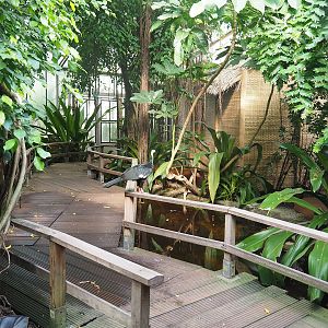 Tropical hall - Second walk-through section - Pantanal/South American section, 2022-08-28