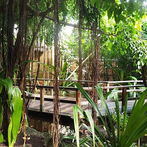 Tropical hall - Second walk-through section - Pantanal/South American section, 2022-08-28