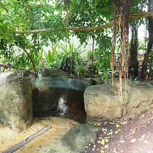 Tropical hall - Second walk-through section - Pantanal/South American section, pond, 2022-08-28