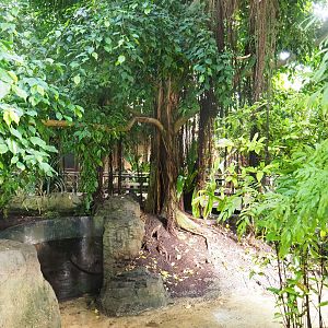 Tropical hall - Second walk-through section - Pantanal/South American section, pond, 2022-08-28