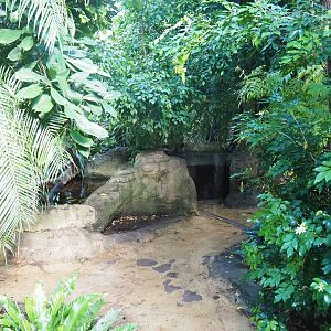 Tropical hall - Second walk-through section - Pantanal/South American section, walkway and pond, 2022-08-28
