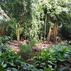 Tropical hall - Third walk-through section - Mixed tropical section, 2022-08-28