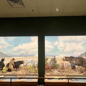 Yellowstone Diorama