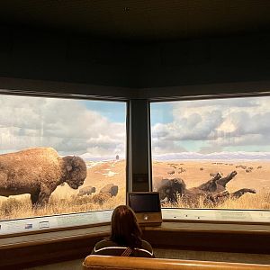 Great Plains Diorama