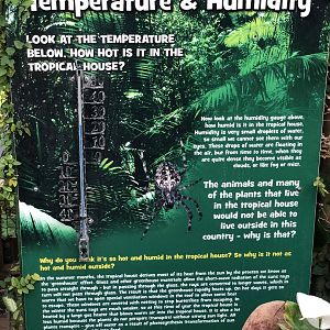 Butterfly House Signage (Temperature & Humidity) at Tropical Butterfly House (March 2023)