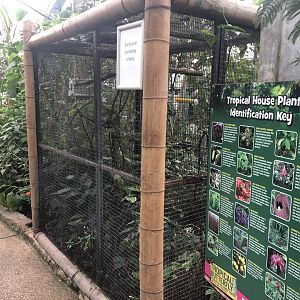 Vacant Enclosure in the Butterfly House at Tropical Butterfly House (March 2023)