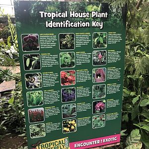Butterfly House Signage (Plants) at Tropical Butterfly House (March 2023)